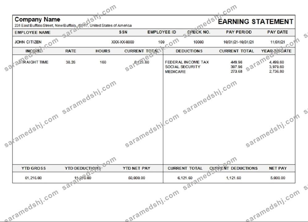 USA Michigan pay stub